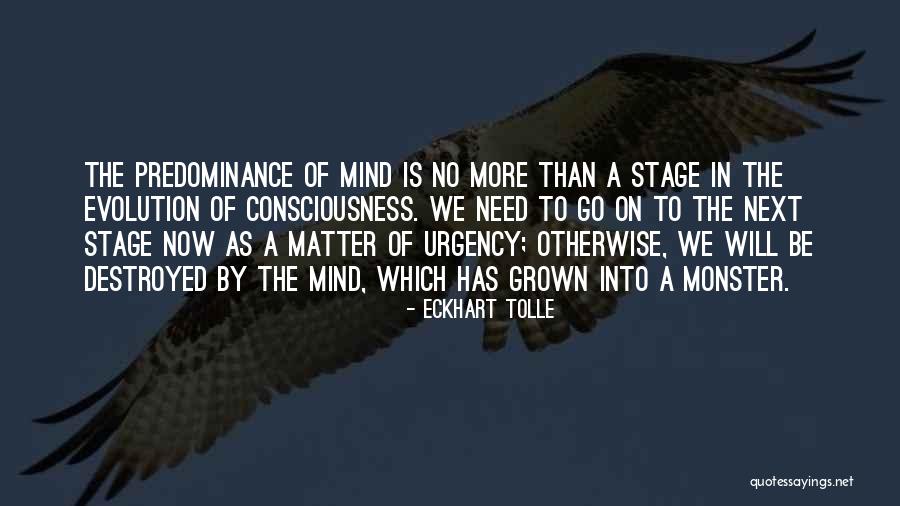 No Urgency Quotes By Eckhart Tolle No Urgency Quotes By Eckhart Tolle