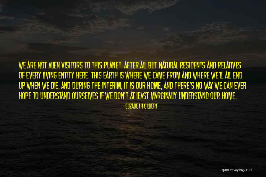 No Visitors Quotes By Elizabeth Gilbert No Visitors Quotes By Elizabeth Gilbert