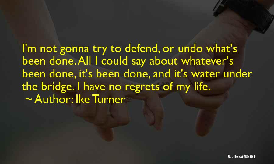 No Water No Life Quotes By Ike Turner