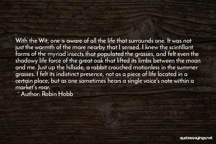 No Water No Life Quotes By Robin Hobb