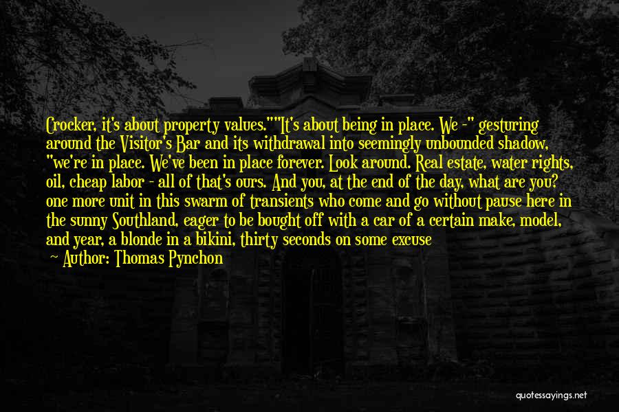 No Water Supply Quotes By Thomas Pynchon