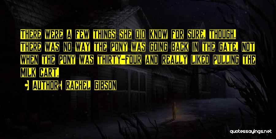 No Way Back Quotes By Rachel Gibson