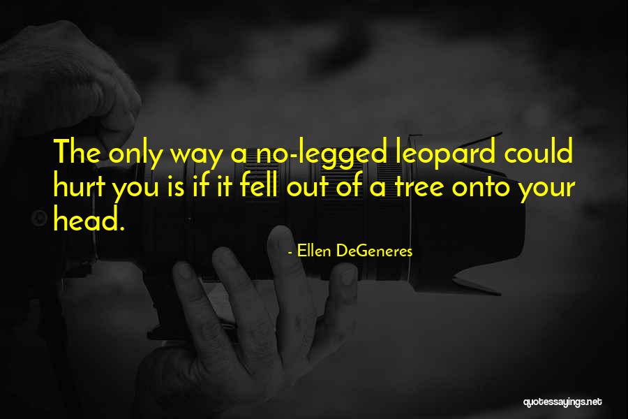 No Way Out Quotes By Ellen DeGeneres