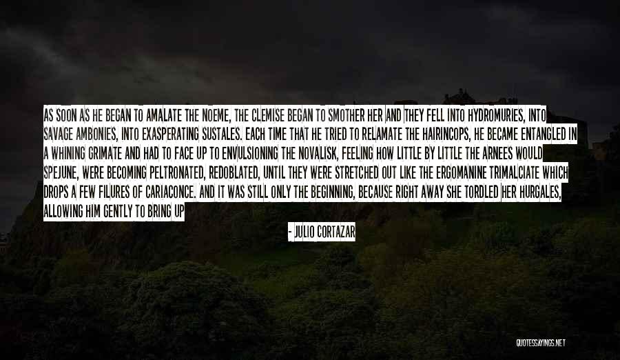 No Whining Quotes By Julio Cortazar