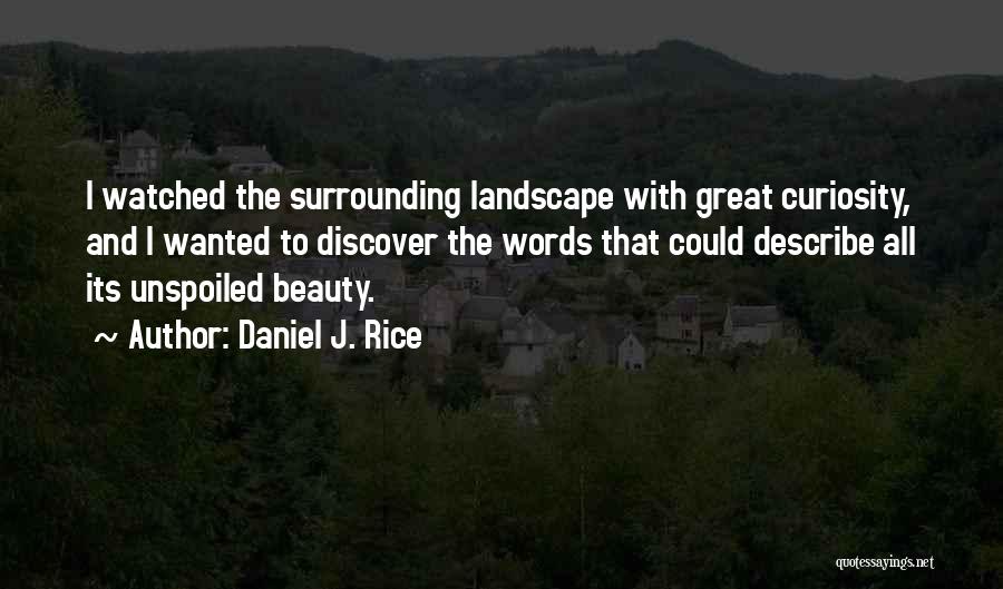 No Words Can Describe Your Beauty Quotes By Daniel J. Rice