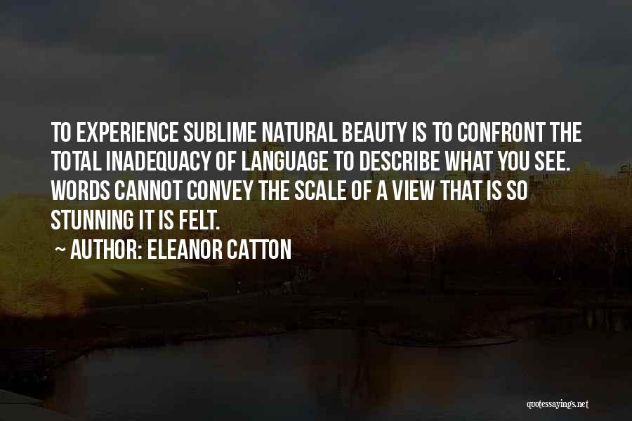 No Words Can Describe Your Beauty Quotes By Eleanor Catton