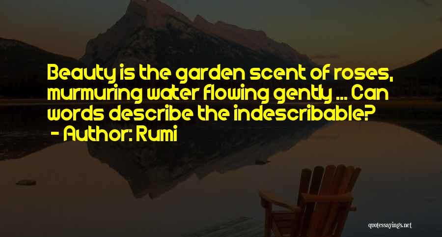 No Words Can Describe Your Beauty Quotes By Rumi