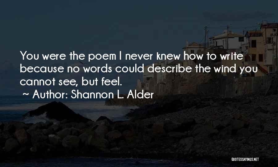 No Words Can Describe Your Beauty Quotes By Shannon L. Alder