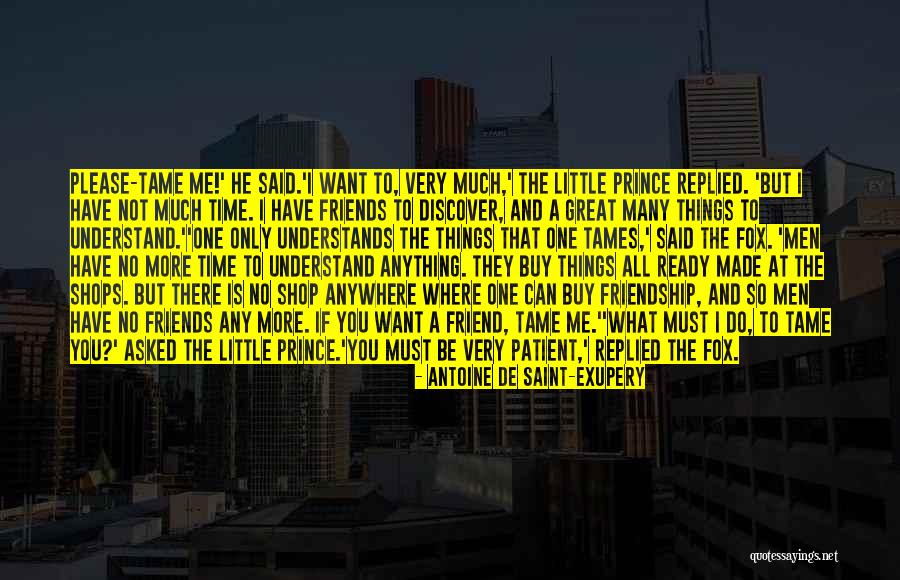 No Words Can Say Quotes By Antoine De Saint-Exupery No Words Can Say Quotes By Antoine De Saint-Exupery