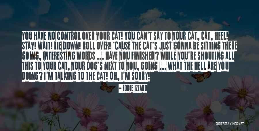No Words Can Say Quotes By Eddie Izzard No Words Can Say Quotes By Eddie Izzard