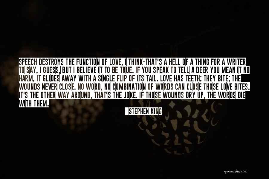 No Words Can Say Quotes By Stephen King No Words Can Say Quotes By Stephen King