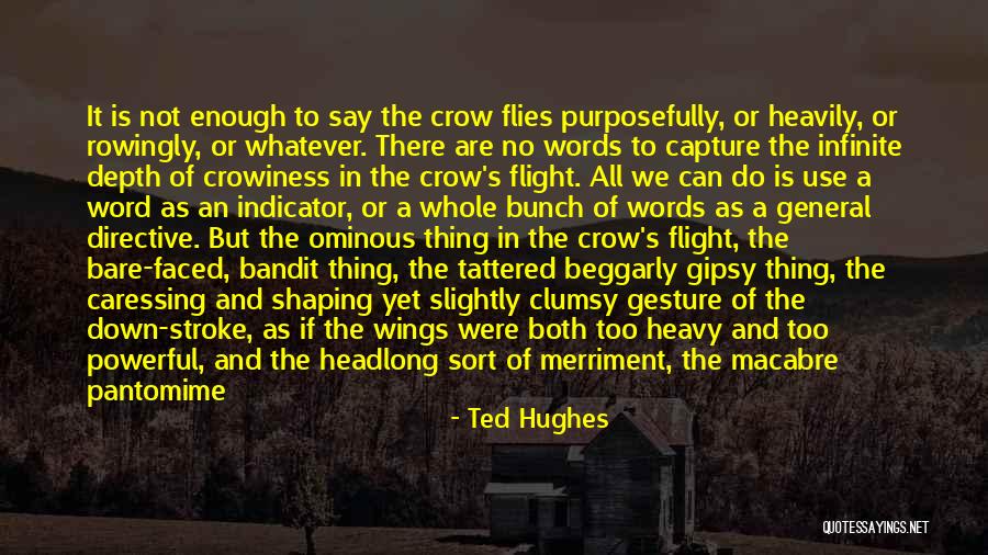 No Words Can Say Quotes By Ted Hughes No Words Can Say Quotes By Ted Hughes