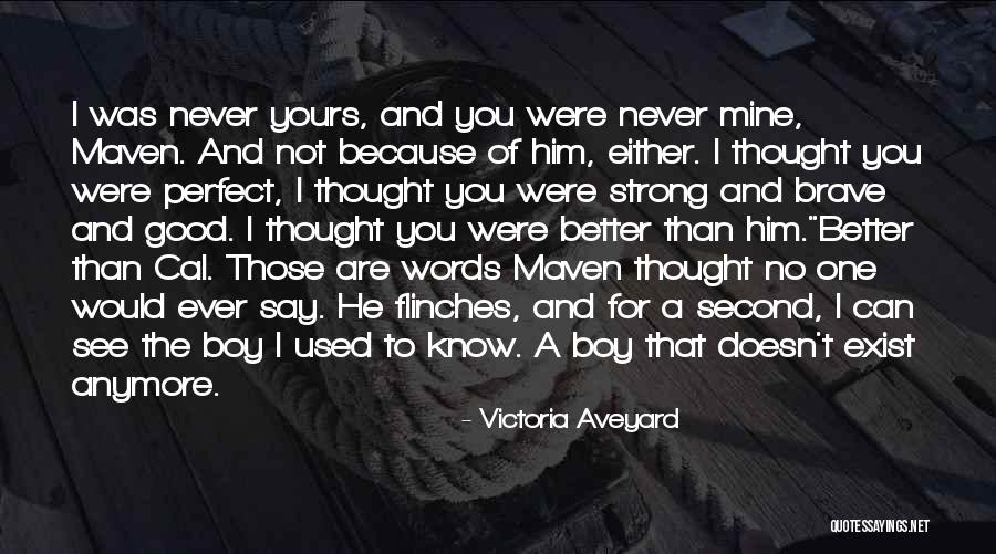 No Words Can Say Quotes By Victoria Aveyard No Words Can Say Quotes By Victoria Aveyard