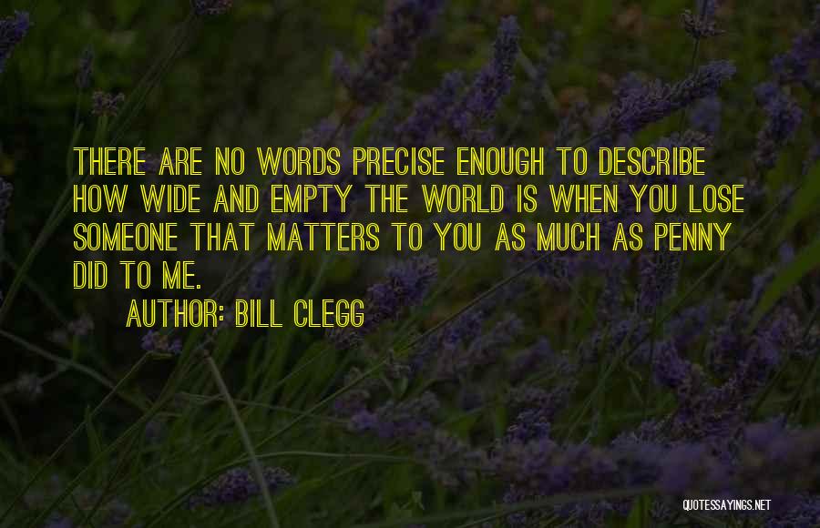 No Words Describe Quotes By Bill Clegg