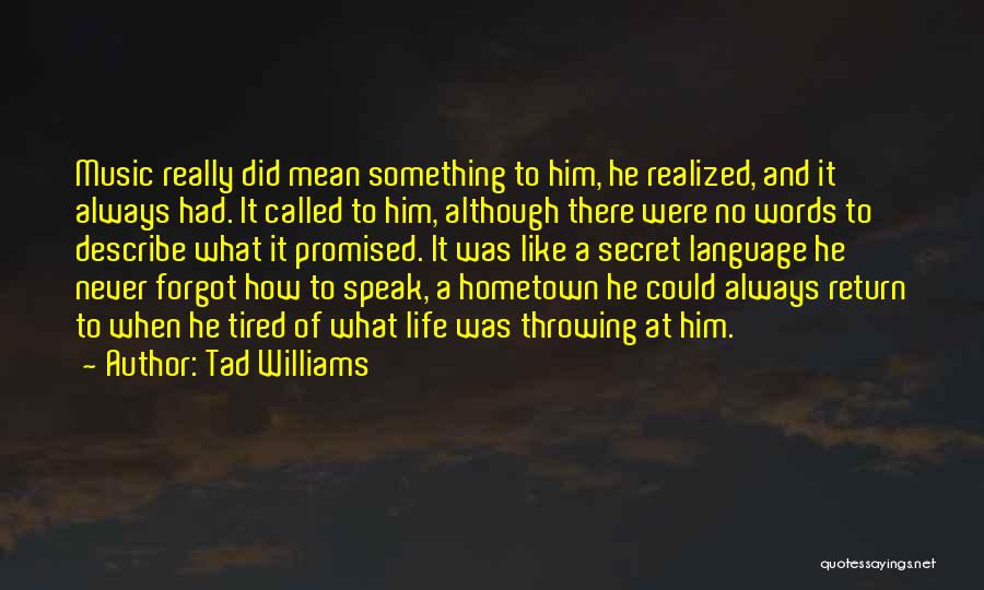 No Words Describe Quotes By Tad Williams