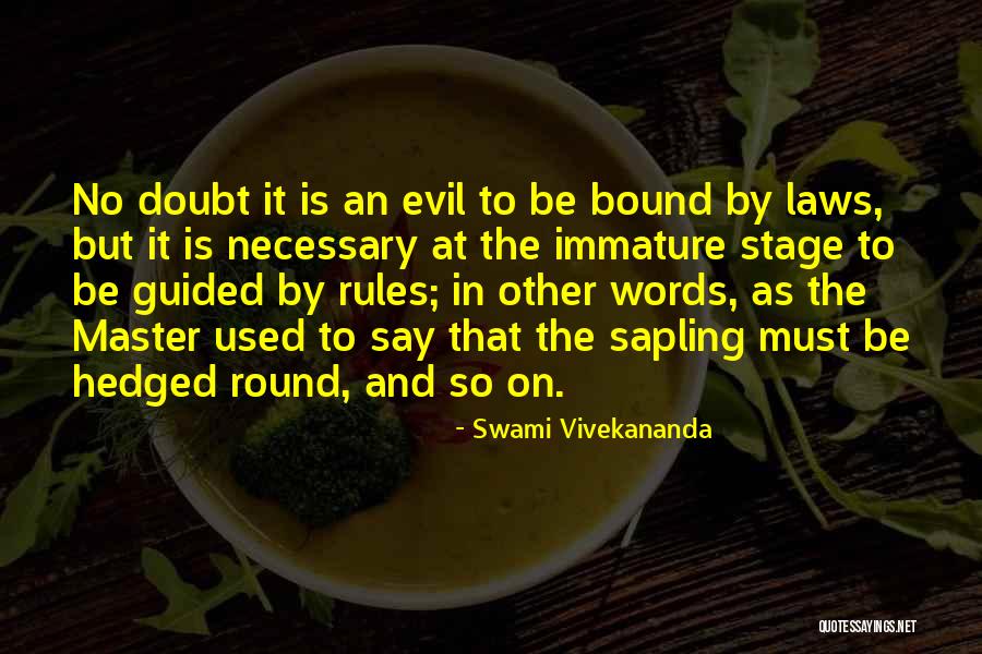 No Words Necessary Quotes By Swami Vivekananda