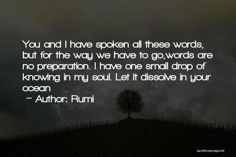 No Words Spoken Quotes By Rumi