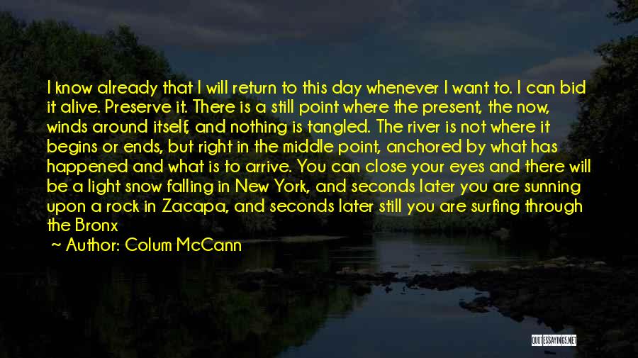 No Words To Describe My Love Quotes By Colum McCann