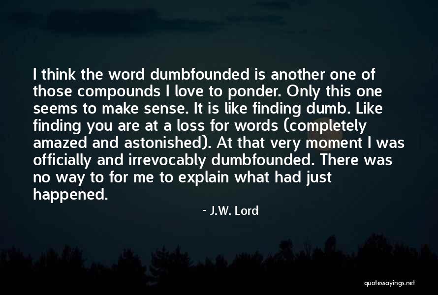 No Words To Explain How Much I Love You Quotes By J.W. Lord