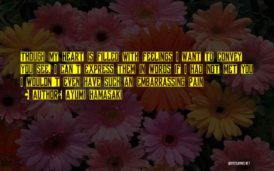 No Words To Express My Feelings Quotes By Ayumi Hamasaki