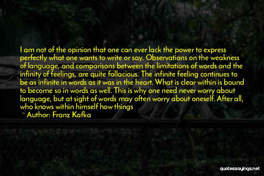 No Words To Express My Feelings Quotes By Franz Kafka