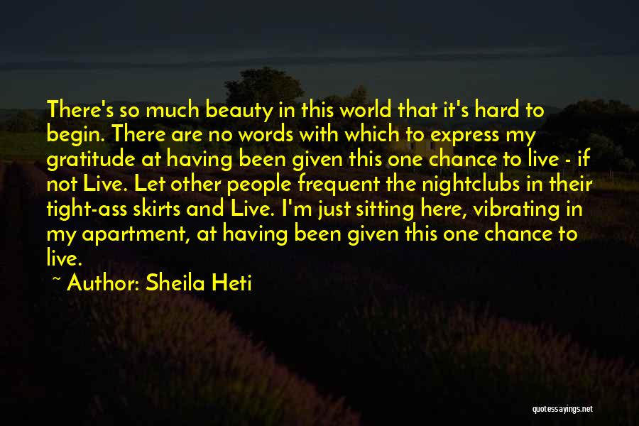 No Words To Express Quotes By Sheila Heti