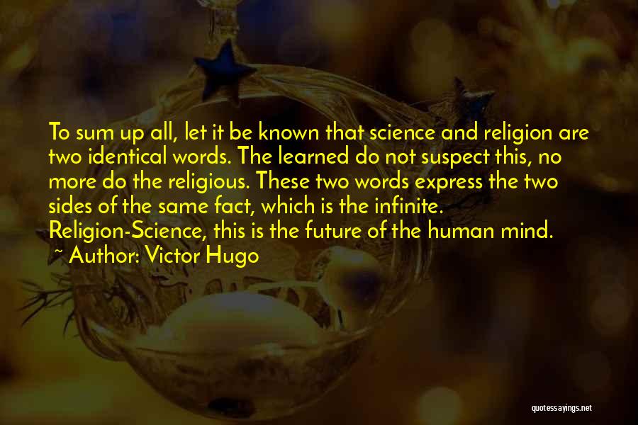 No Words To Express Quotes By Victor Hugo