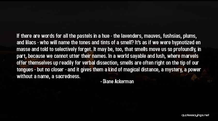 No Words To Offer Quotes By Diane Ackerman No Words To Offer Quotes By Diane Ackerman