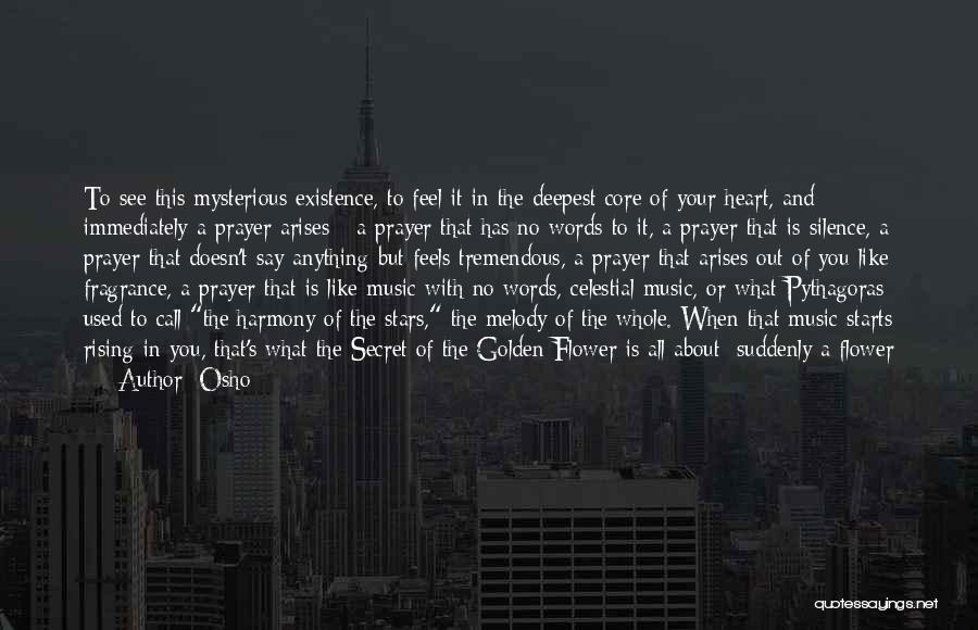 No Words To Say Quotes By Osho
