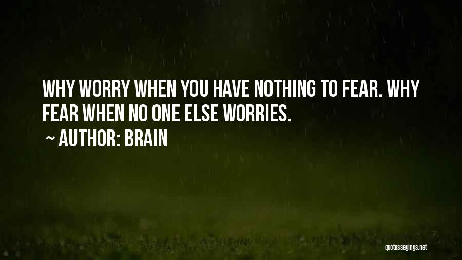 No Worries Quotes By Brain