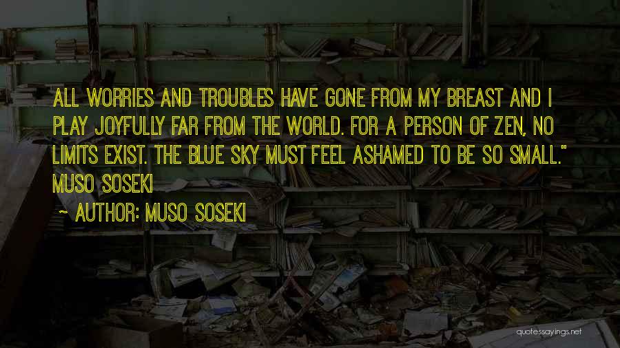 No Worries Quotes By Muso Soseki