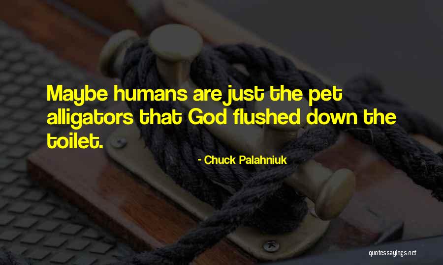 Noadesignbuild Quotes By Chuck Palahniuk Noadesignbuild Quotes By Chuck Palahniuk