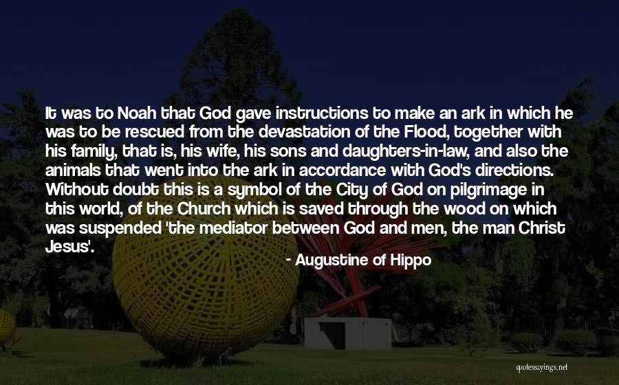 Noah Ark Quotes By Augustine Of Hippo