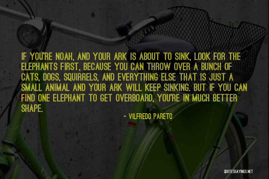 Noah Ark Quotes By Vilfredo Pareto