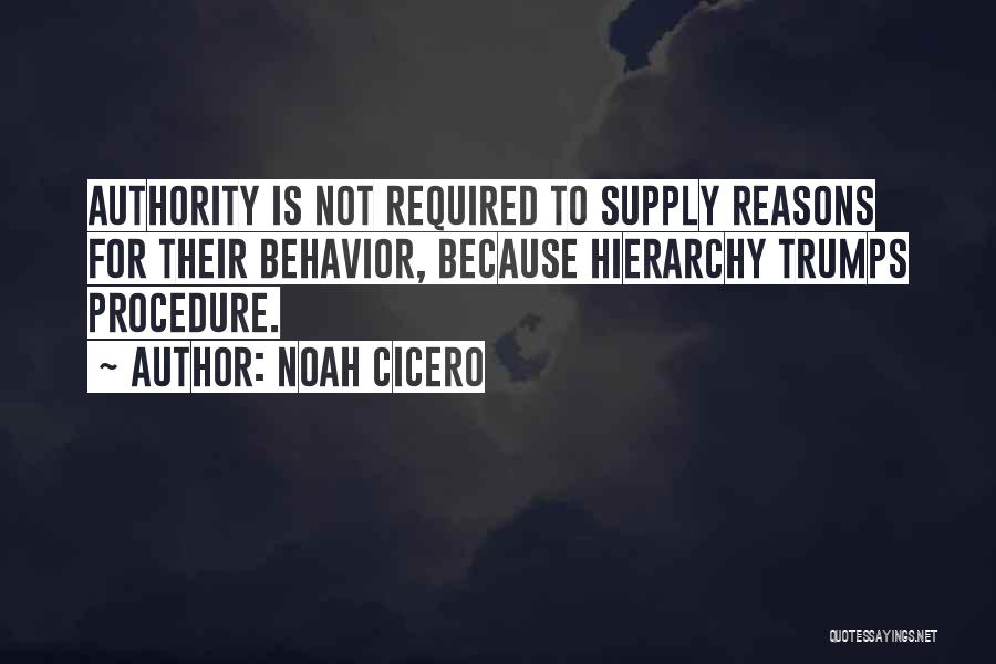 Noah Cicero Quotes 789551