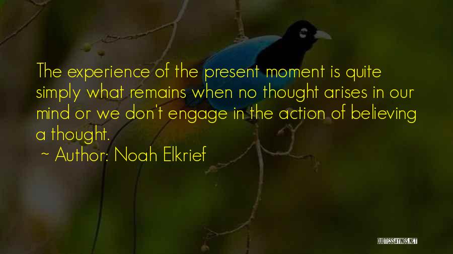 Noah Elkrief Quotes 750589