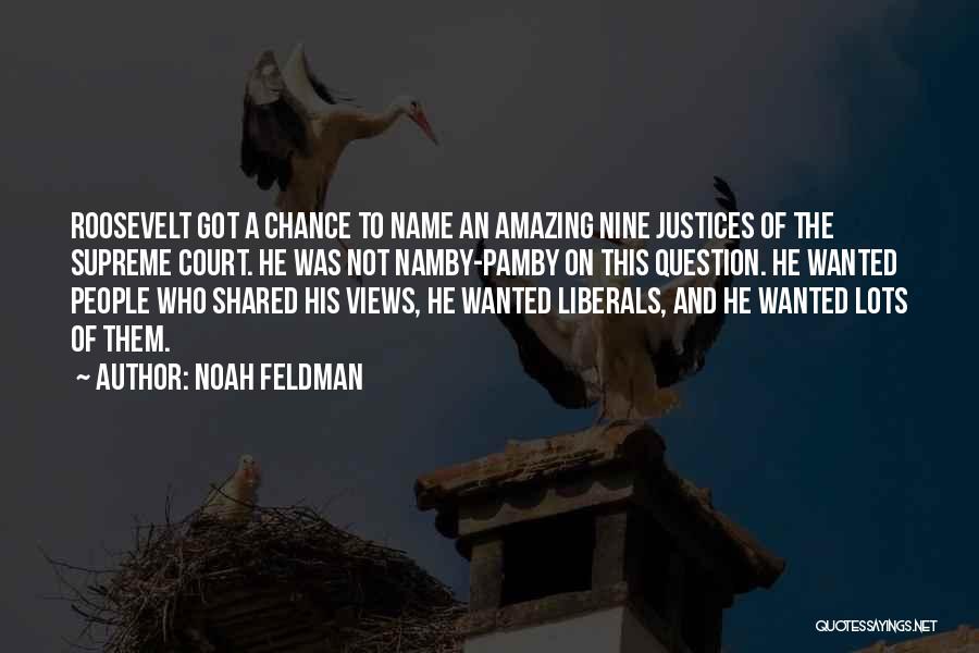 Noah Feldman Quotes 1234388