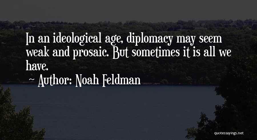 Noah Feldman Quotes 1688920