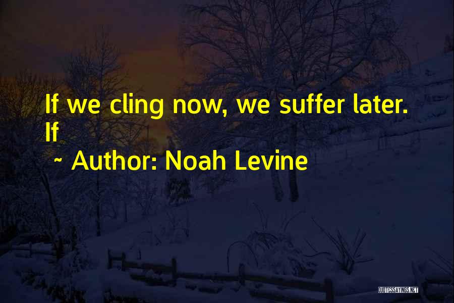 Noah Levine Quotes 701283