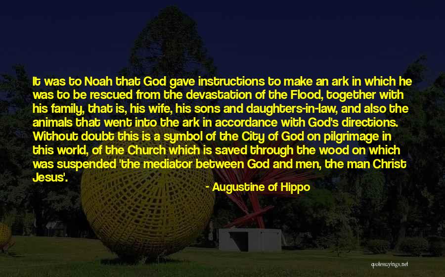 Noah's Ark Quotes By Augustine Of Hippo