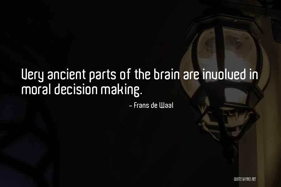 Noakes Realty Quotes By Frans De Waal Noakes Realty Quotes By Frans De Waal