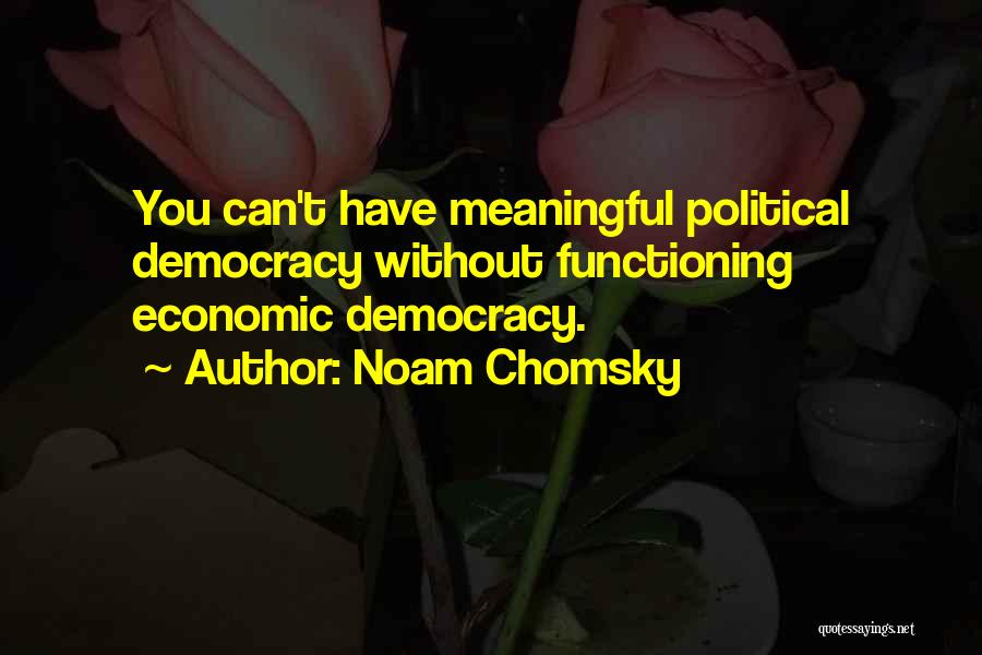 Noam Chomsky Quotes 1030059