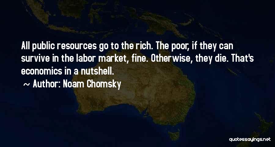 Noam Quotes By Noam Chomsky