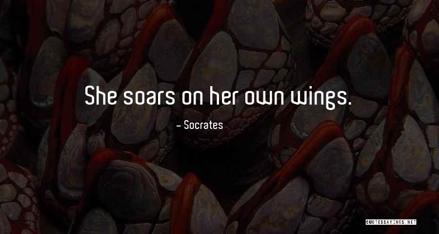 Nobert Young Quotes By Socrates Nobert Young Quotes By Socrates