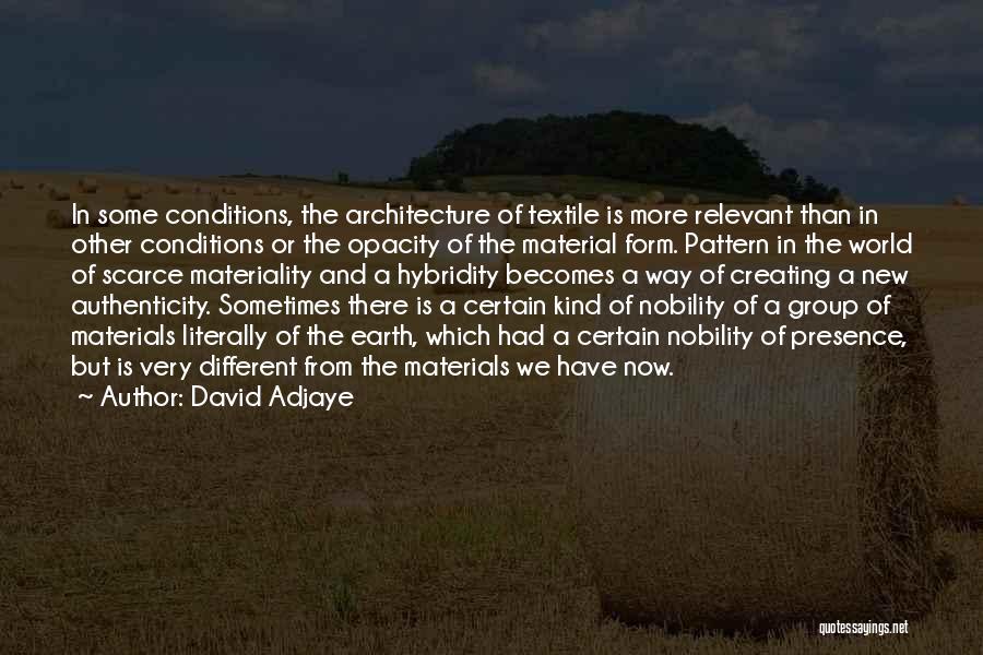 Nobility Quotes By David Adjaye