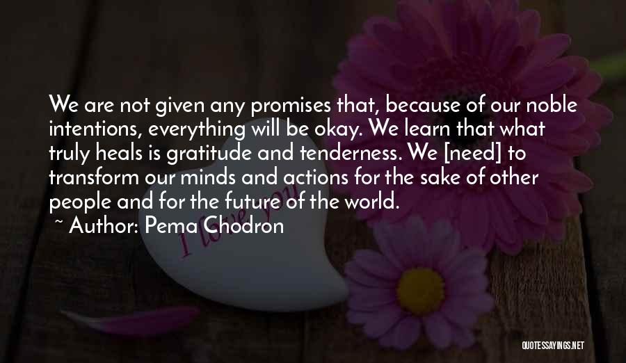 Noble Intentions Quotes By Pema Chodron