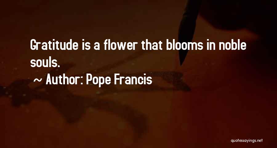 Noble Souls Quotes By Pope Francis