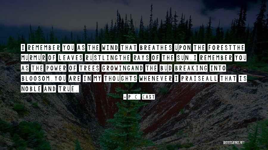 Noble Thoughts Quotes By P.C. Cast Noble Thoughts Quotes By P.C. Cast