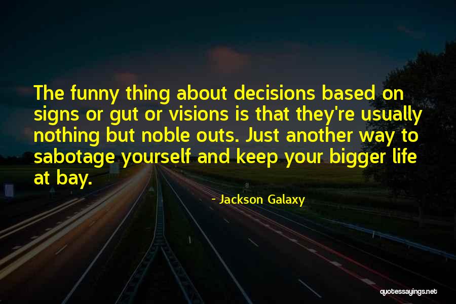Noble Visions Quotes By Jackson Galaxy Noble Visions Quotes By Jackson Galaxy