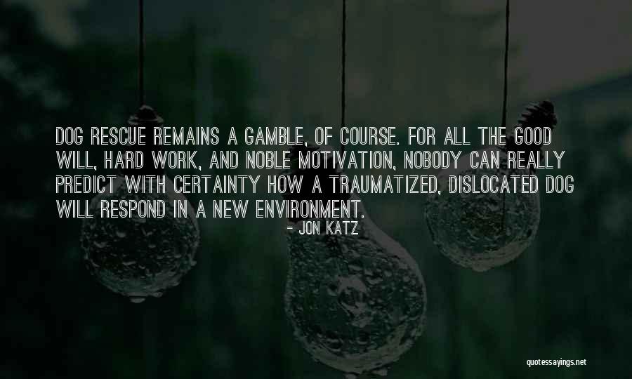 Noble Work Quotes By Jon Katz Noble Work Quotes By Jon Katz